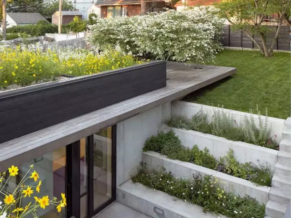 toit terrasse vegetalisee